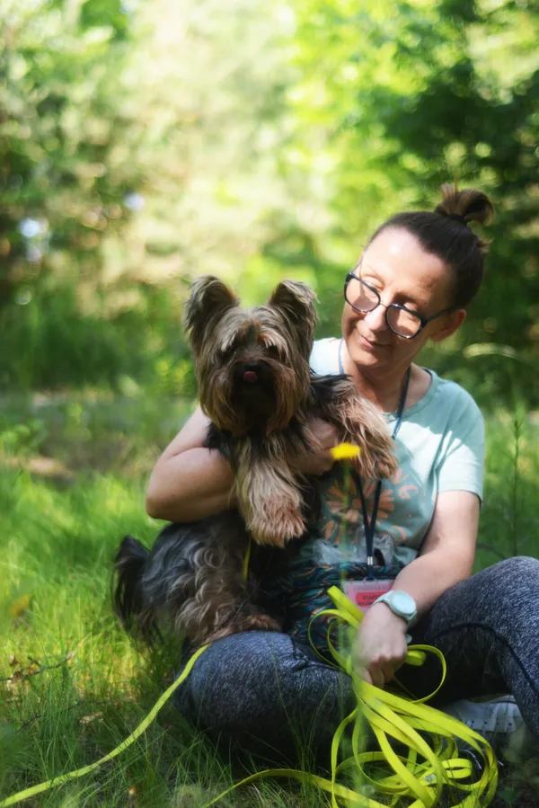 Pies do adopcji, Milanówek, 27 czerwca 2025 (3/5)