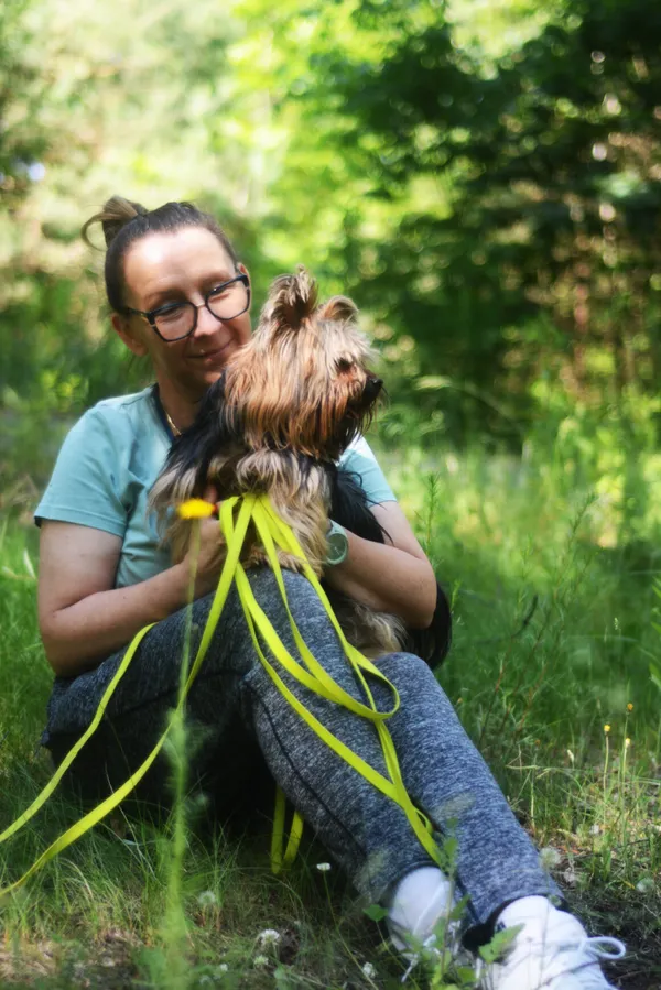 Pies do adopcji, Milanówek, 27 czerwca 2025 (4/5)