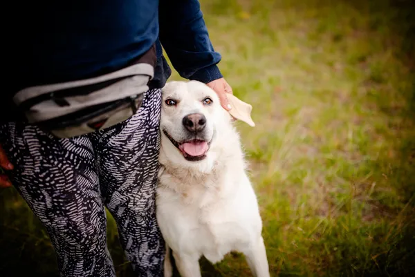 Oddam psa, Warszawa, Wierzbno, 29 czerwca 2025 (4/6)