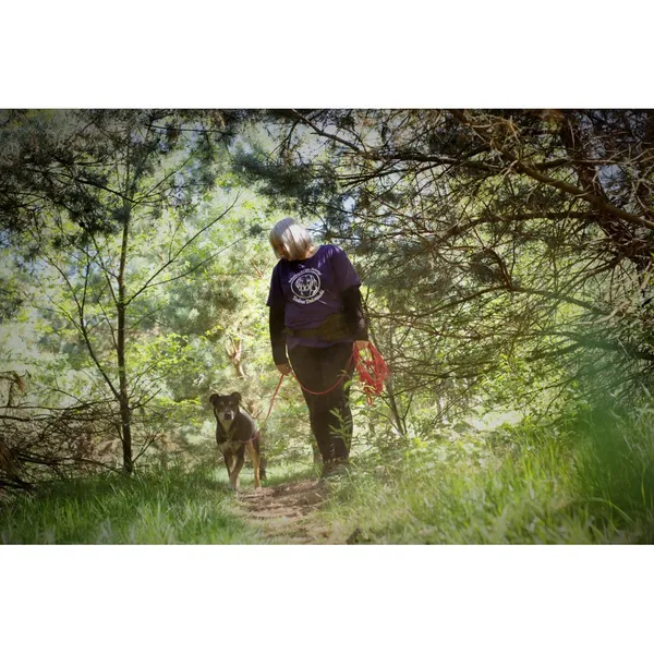 Znaleziono psa, Białystok, 16 września 2019 (3/4)