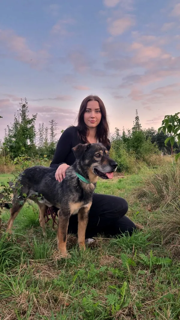 Oddam psa, Warszawa, Odolany, 2 lipca 2025 (5/5)