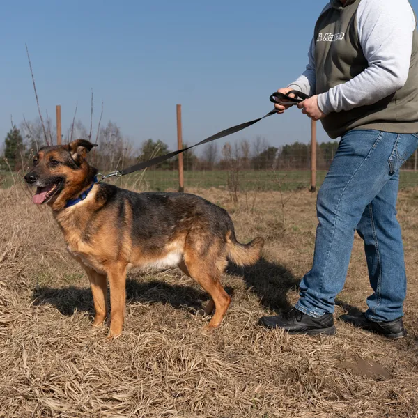 Oddam psa, Warszawa, Kamionek, 2 lipca 2025 (2/5)