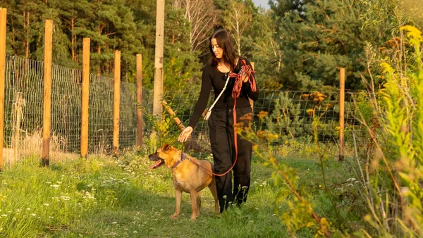 Oddam psa, Radom, Kaptur, 2 lipca 2025 (3/5)