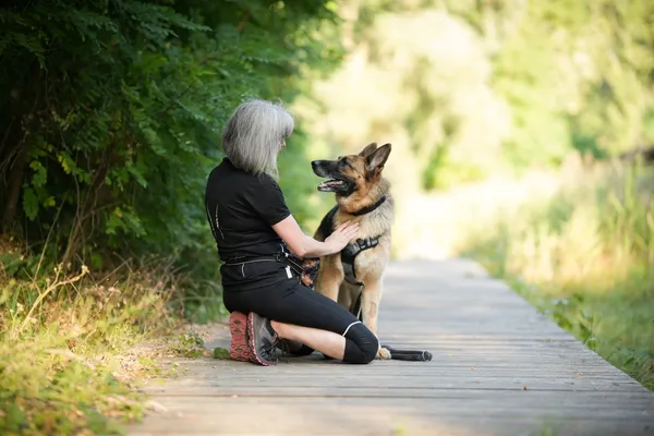 Znaleziono psa, Sosnowiec, 1 lipca 2025 (3/5)