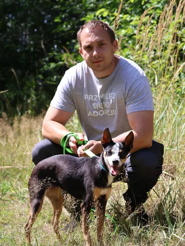 Znaleziono psa, Łódź, 3 lipca 2025 (3/5)