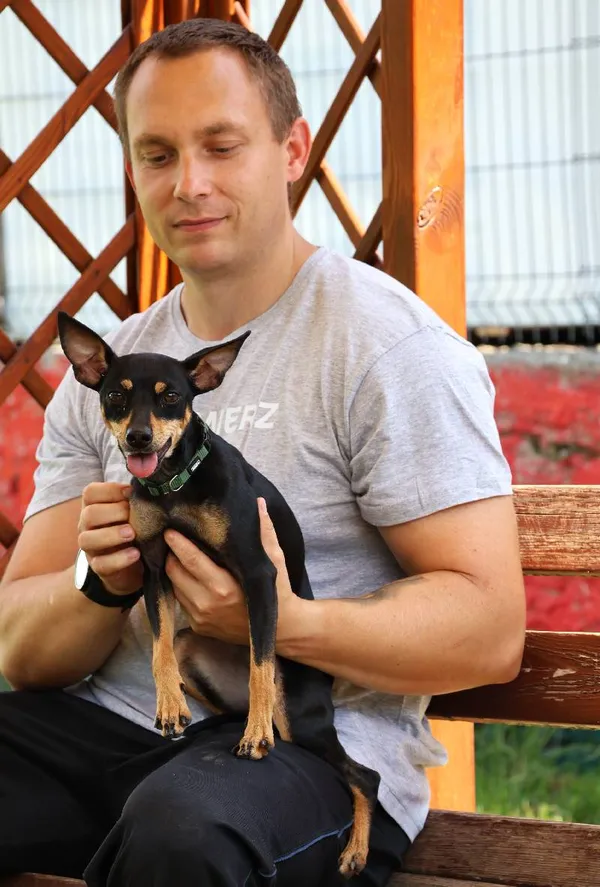 Znaleziono psa, Łódź, 4 lipca 2025 (4/5)