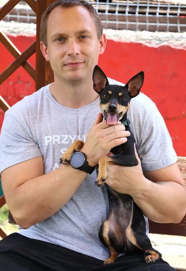 Znaleziono psa, Łódź, 4 lipca 2025 (5/5)