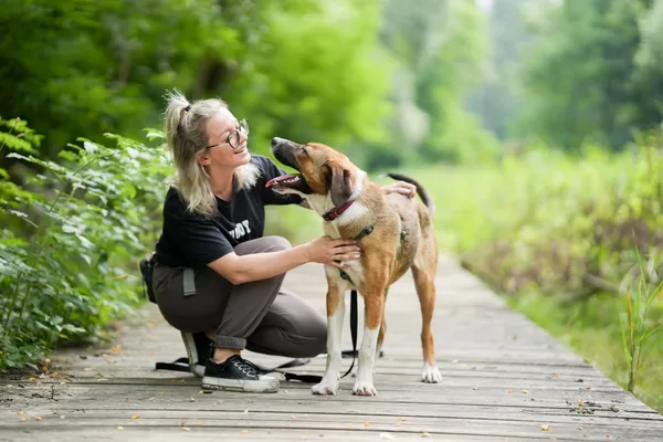 Znaleziono psa, Sosnowiec, 4 lipca 2025 (4/5)