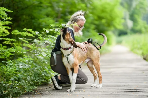 Znaleziono psa, Sosnowiec, 4 lipca 2025 (5/5)