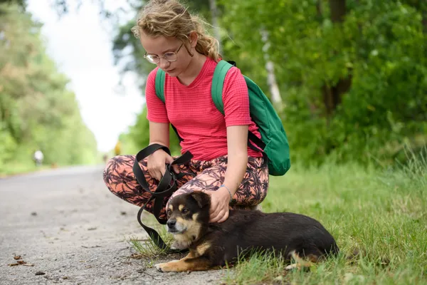 Pies do adopcji, Nowodwór, 7 lipca 2025 (2/5)