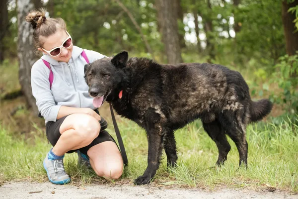 Pies do adopcji, Nowodwór, 8 lipca 2025 (4/5)