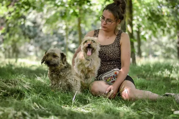 Pies do adopcji, Radom, 13 lipca 2025 (3/5)