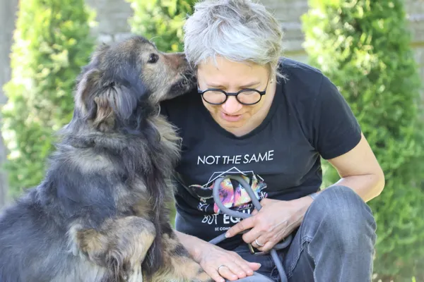 Pies do adopcji, Bełchatów, 29 listopada 2024 (3/5)