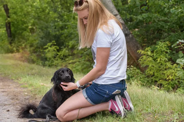 Pies do adopcji, Nowodwór, 18 lipca 2025 (4/5)