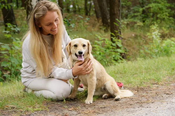 Pies do adopcji, Nowodwór, 18 lipca 2025 (4/5)