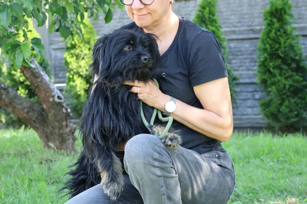 Pies do adopcji, Bełchatów, 14 maja 2025 (5/5)