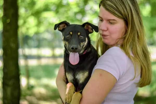 Pies do adopcji, Radom, 22 lipca 2025 (5/5)