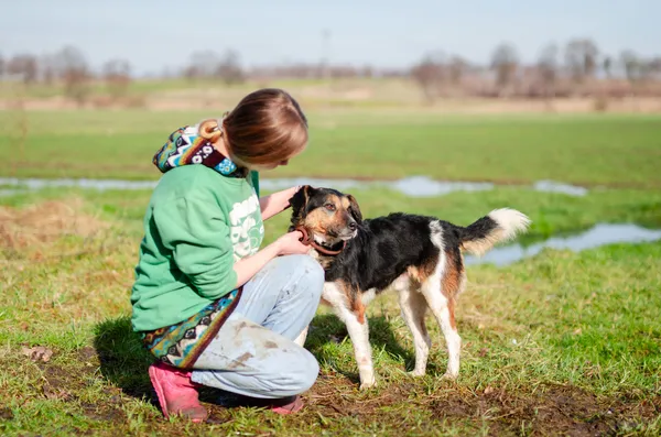 Oddam psa, Gdańsk, Piecki-Migowo, 26 lipca 2025 (2/4)
