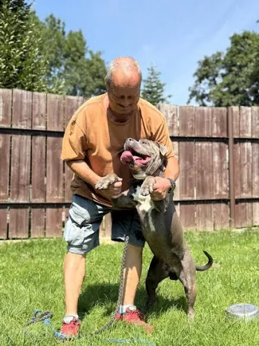 Pies do adopcji, Kraków, 12 lipca 2025 (1/5)