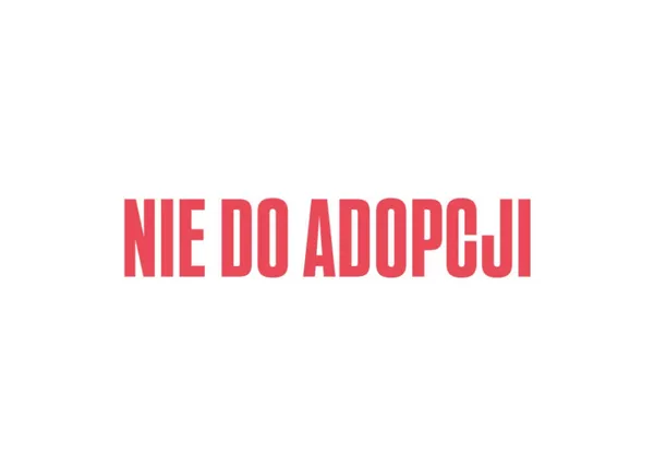 Pies do adopcji, Kraków, 13 lipca 2025