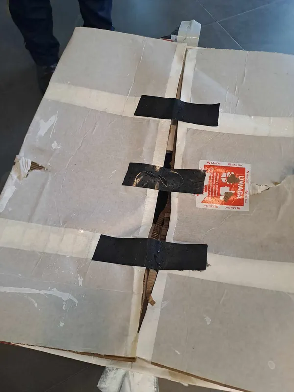 Kot do adopcji, Olsztyn, 27 czerwca 2025 (5/5)