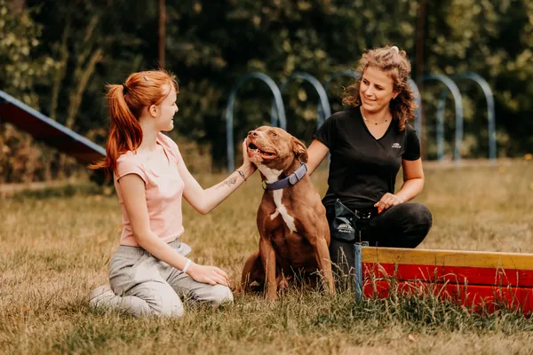 Pies do adopcji, Czartki, 30 lipca 2025 (3/5)