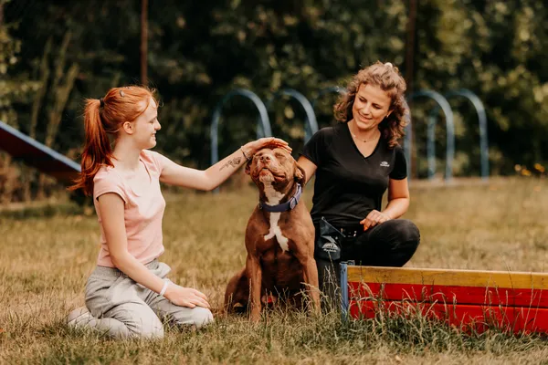 Pies do adopcji, Czartki, 30 lipca 2025 (4/5)