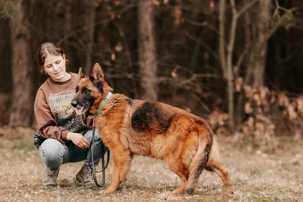 Pies do adopcji, Czartki, 30 lipca 2025 (2/5)