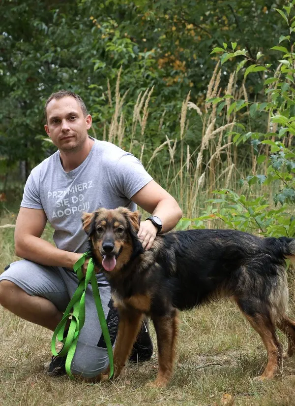 Znaleziono psa, Łódź, 29 lipca 2025 (5/5)