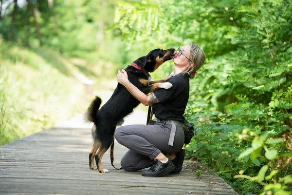 Znaleziono psa, Sosnowiec, 28 lipca 2025 (1/5)