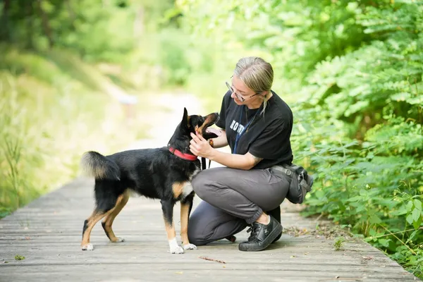 Znaleziono psa, Sosnowiec, 28 lipca 2025 (3/5)