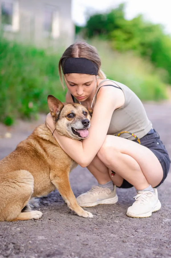 Oddam psa, Olsztyn, Podgrodzie, 2 sierpnia 2025 (1/3)