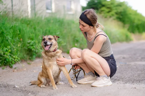 Oddam psa, Olsztyn, Podgrodzie, 2 sierpnia 2025 (2/3)