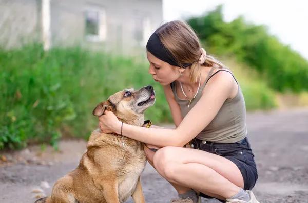 Oddam psa, Olsztyn, Podgrodzie, 2 sierpnia 2025 (3/3)