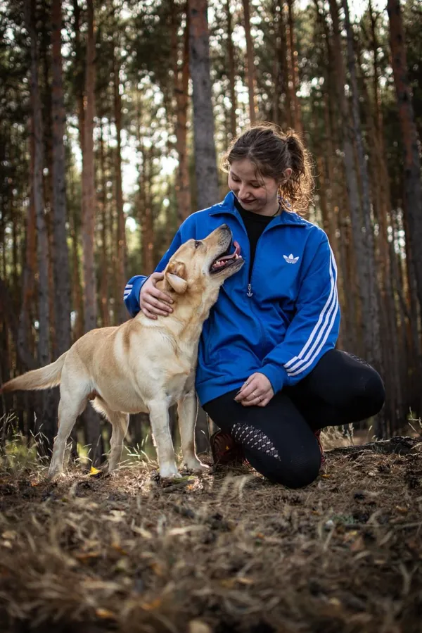 Pies do adopcji, Radom, 13 października 2025 (3/5)