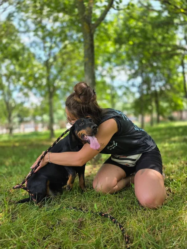 Pies do adopcji, Radom, 2 sierpnia 2025 (4/5)