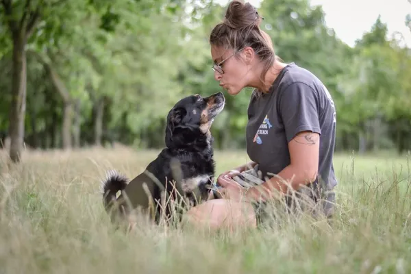 Pies do adopcji, Radom, 2 sierpnia 2025 (4/5)