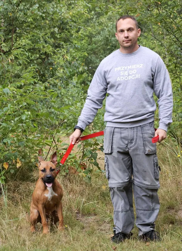 Znaleziono psa, Łódź, 2 sierpnia 2025 (5/5)