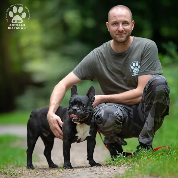 Pies do adopcji, Gdynia, 7 sierpnia 2025 (4/4)