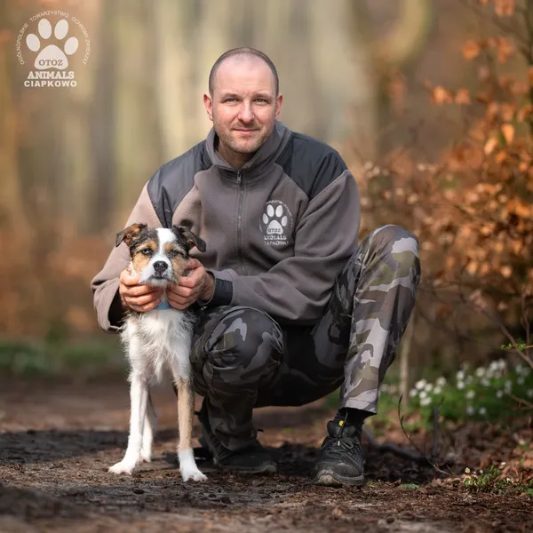 Pies do adopcji, Gdynia, 7 sierpnia 2025 (4/4)