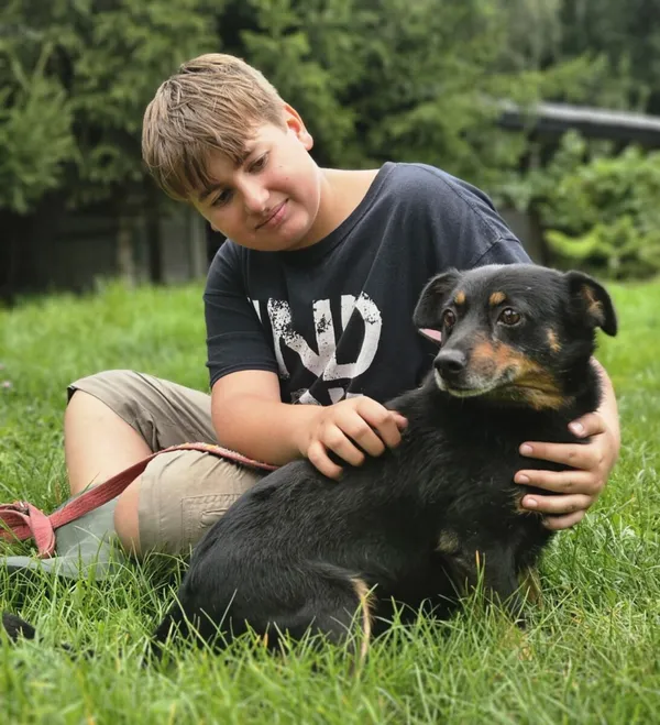 Pies do adopcji, Zgierz, 10 sierpnia 2025 (3/4)