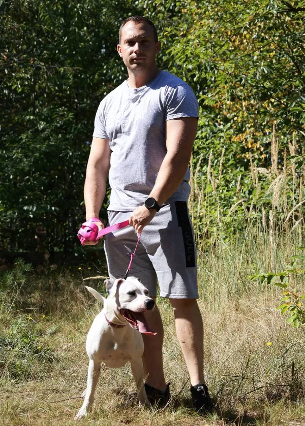 Znaleziono psa, Łódź, 16 sierpnia 2025 (4/5)