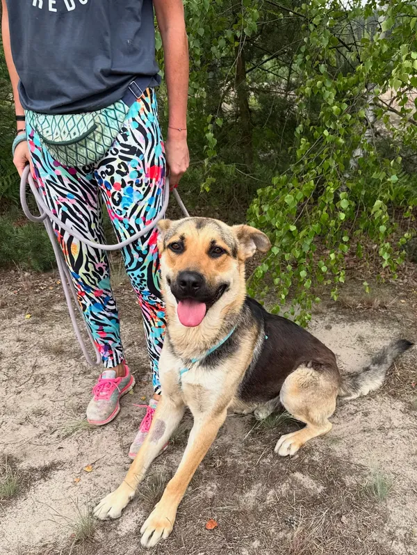 Oddam psa, Warszawa, Bemowo, 17 sierpnia 2025 (1/5)