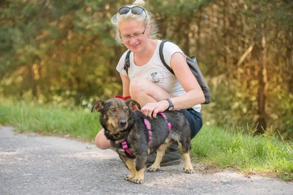 Pies do adopcji, Nowodwór, 18 sierpnia 2025 (1/5)