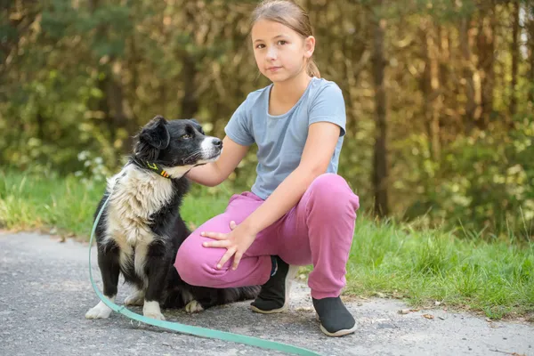 Pies do adopcji, Nowodwór, 18 sierpnia 2025 (2/5)