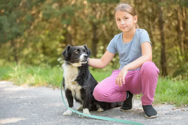 Pies do adopcji, Nowodwór, 18 sierpnia 2025 (3/5)