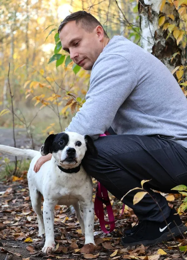 Znaleziono psa, Łódź, 17 sierpnia 2025 (5/5)