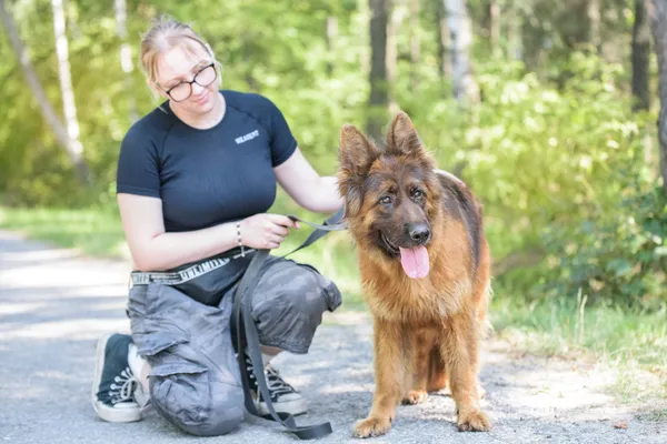 Pies do adopcji, Nowodwór, 18 sierpnia 2025 (2/5)