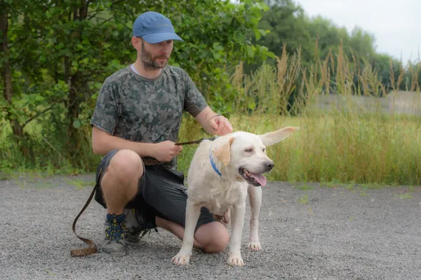 Pies do adopcji, Nowodwór, 18 sierpnia 2025 (5/5)