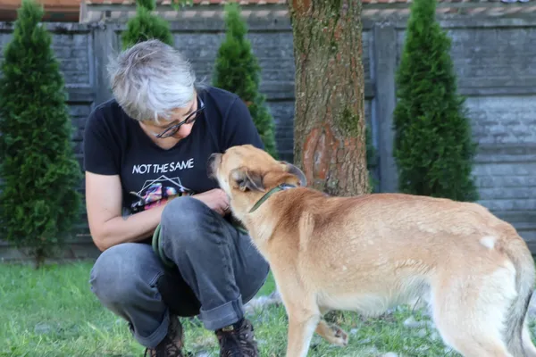 Pies do adopcji, Bełchatów, 6 maja 2025 (2/5)